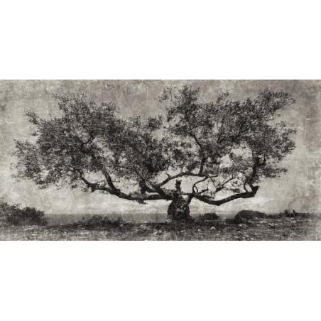 AFFICHE ALFONZ "L'ARBRE PAROS"