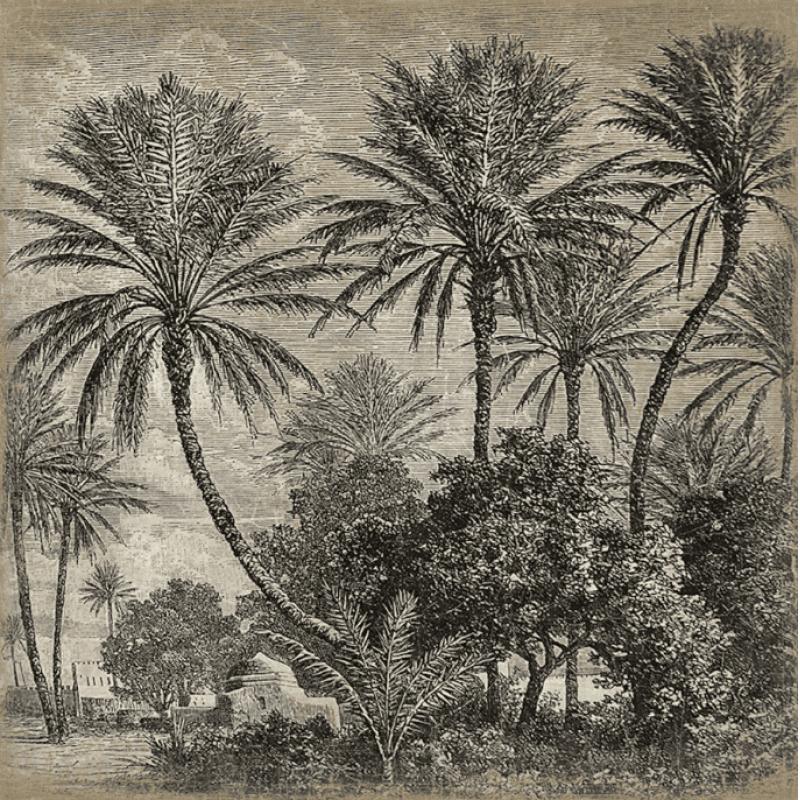 AFFICHE 120X120 "PAYSAGE D'ORIENT"