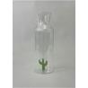 CARAFE CACTUS