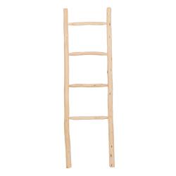 ECHELLE EUCALYPTUS H150L45