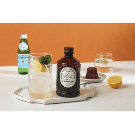 SIROP BRUT BIO 400ML GINGEMBRE