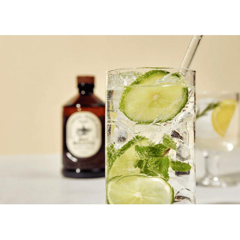 SIROP BRUT BIO 400ML MOJITO