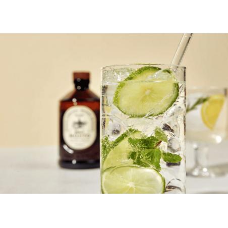 SIROP BRUT BIO 400ML MOJITO